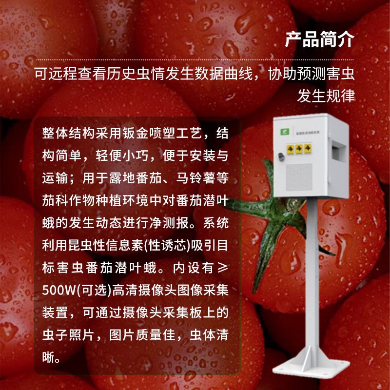 番茄潜叶蛾智慧性诱测报系统:高效诱虫、杀虫