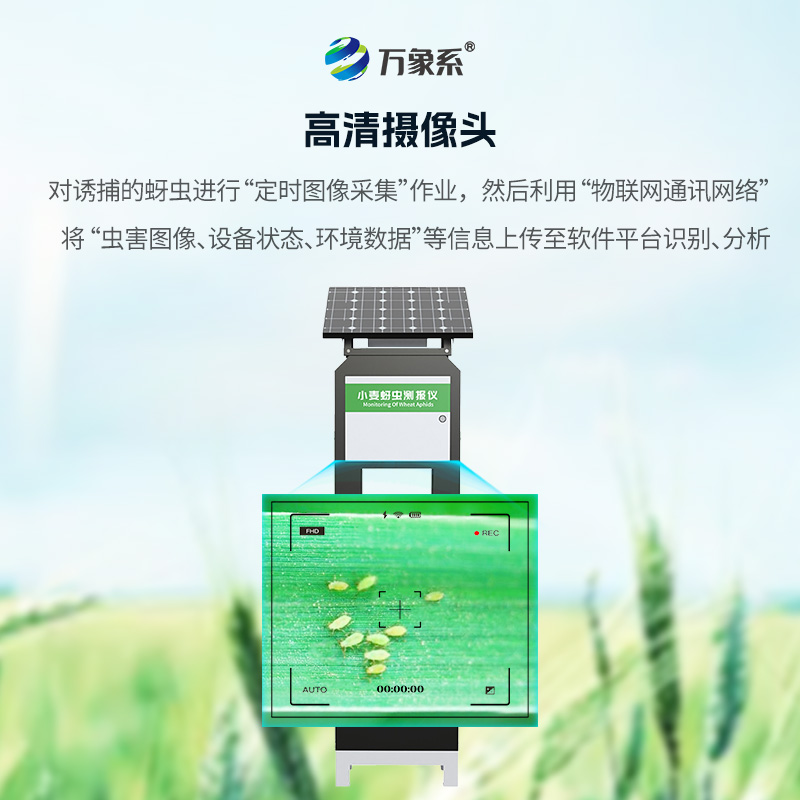 小麦蚜虫在线监测系统,小麦病害防治的利器之一