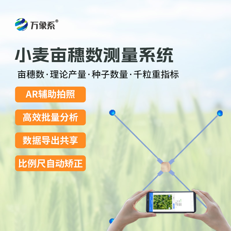 小麦亩穗数测量系统:麦田里的
