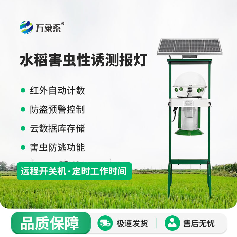 水稻害虫性诱测报灯:绿色诱捕+精准测报,守护水稻丰产无忧
