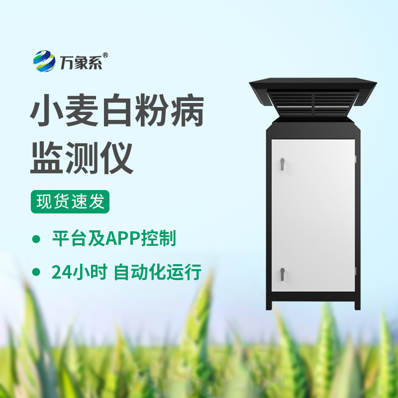 小麦白粉病监测仪:精准预警病害,守护小麦丰产增收