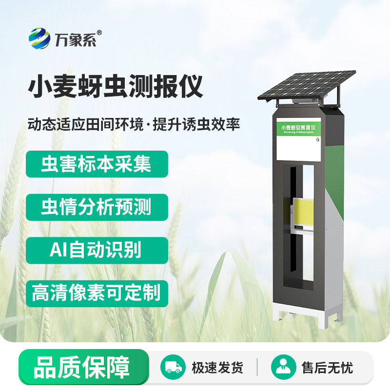 小麦蚜虫监测仪:如何精准防控小麦蚜虫虫害?