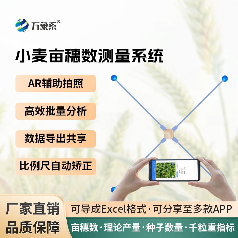 智能测产护丰收:小麦亩穗数测量系统促进小麦产业新发展